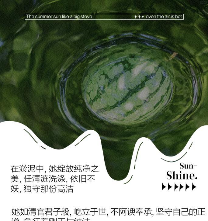 荷花的花语和寓意有哪些？