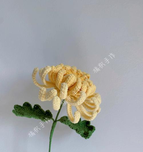 菊花代表坚强的花语是什么？