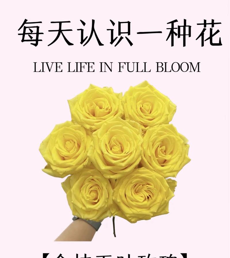 真爱的花语有哪些？