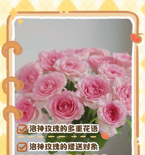 俄罗斯有哪些常见的花语？