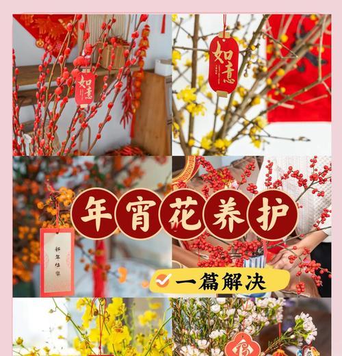 幸运果树的花语寓意是什么？