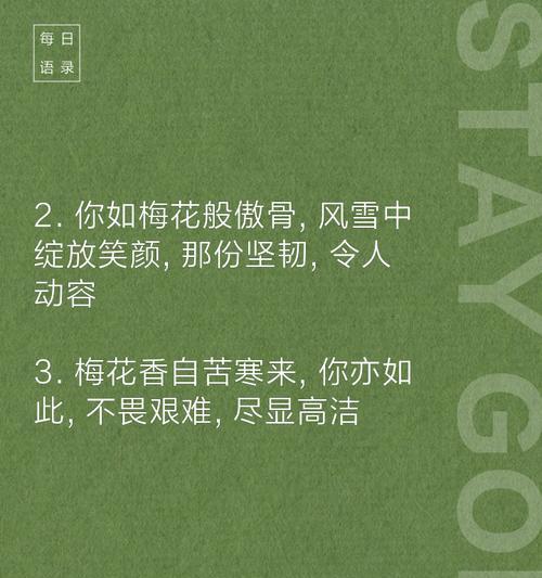 各色梅花的花语分别是什么？
