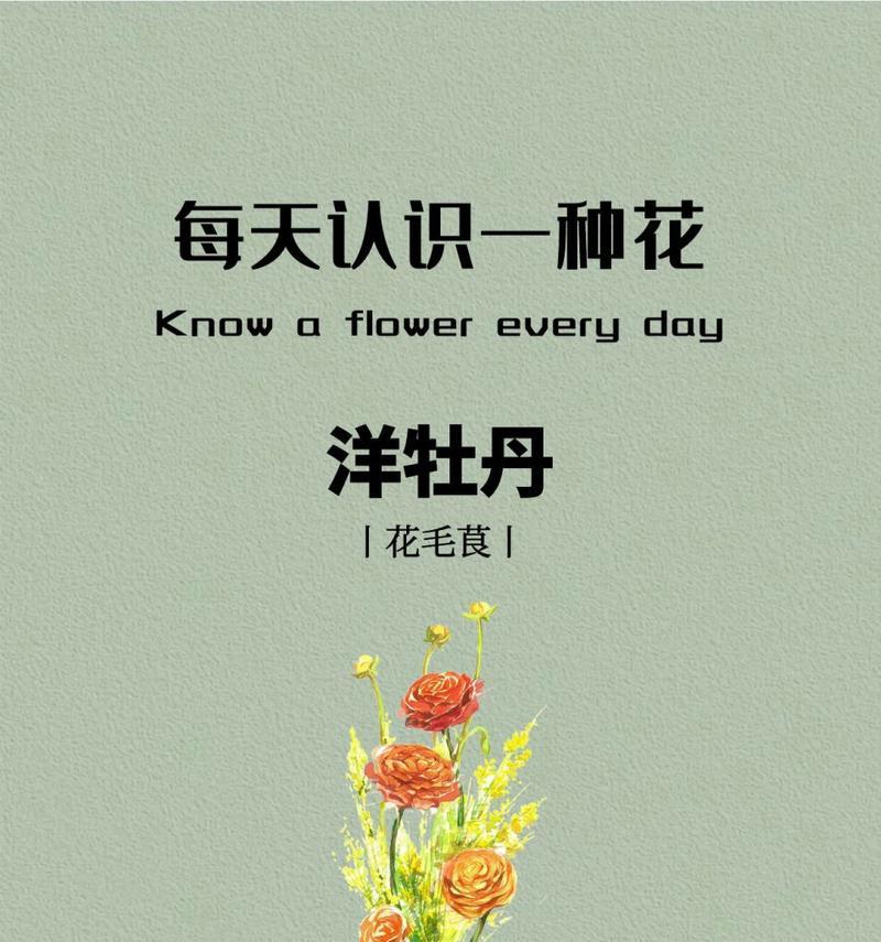 哪种花语被认为最吉祥？