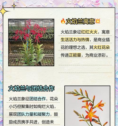 属于自己的花语有哪些？如何选择代表个人的花语？