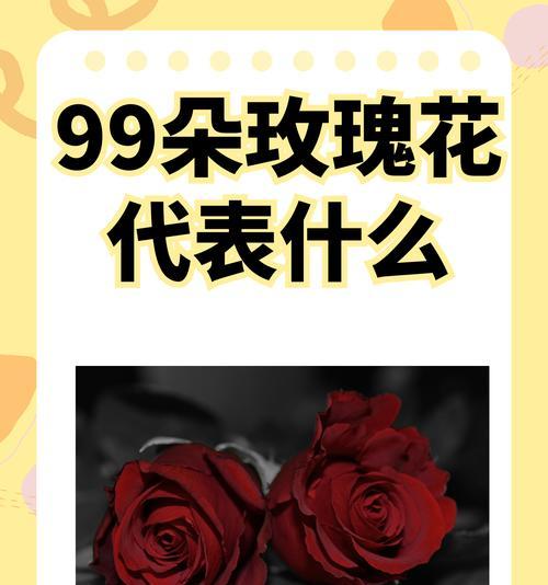 适合送人的花语有哪些？如何挑选合适的花语表达心意？