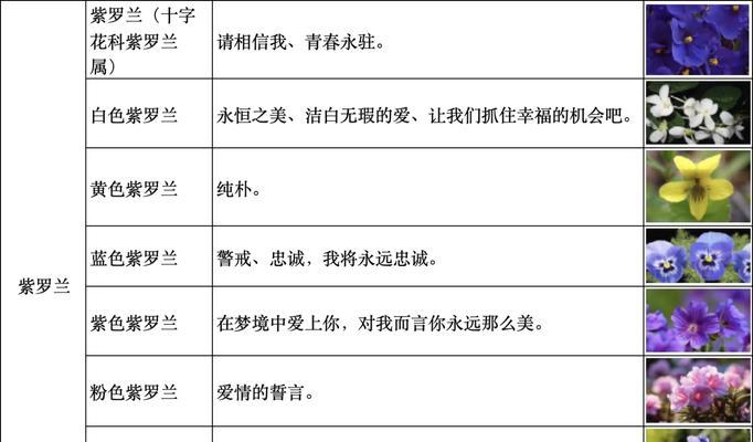 花语的生活故事有哪些？如何用花语讲述生活故事？
