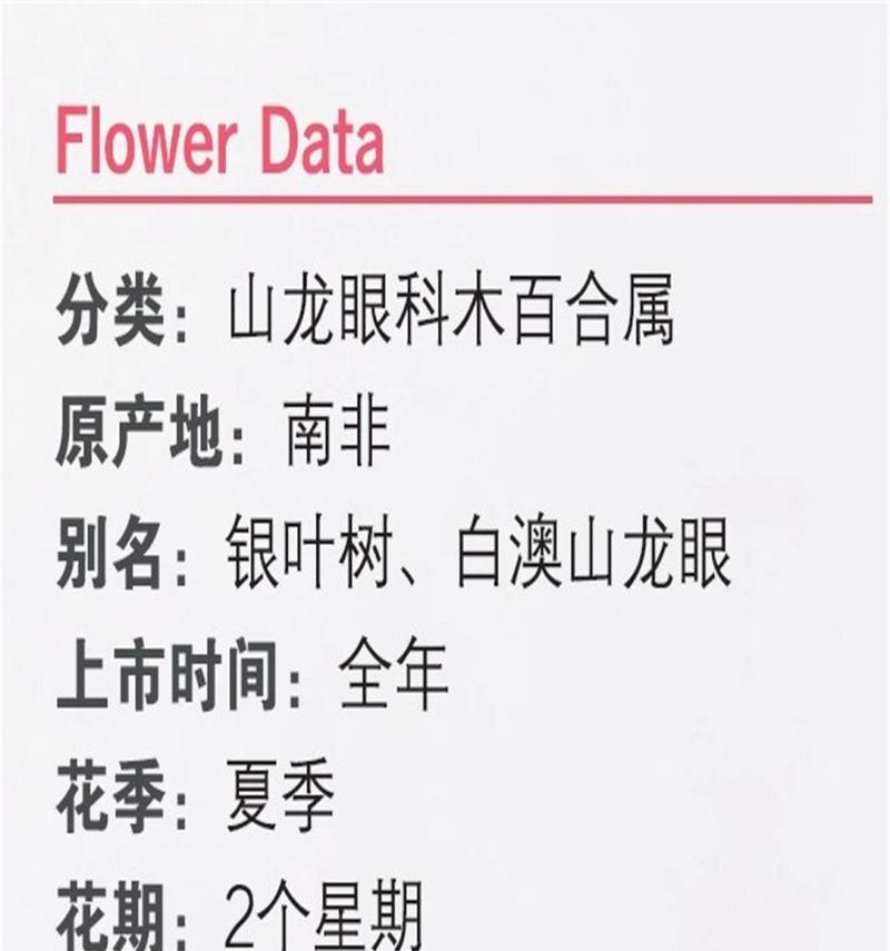 表示虚假的花语是什么？有哪些花语含有不诚实的寓意？