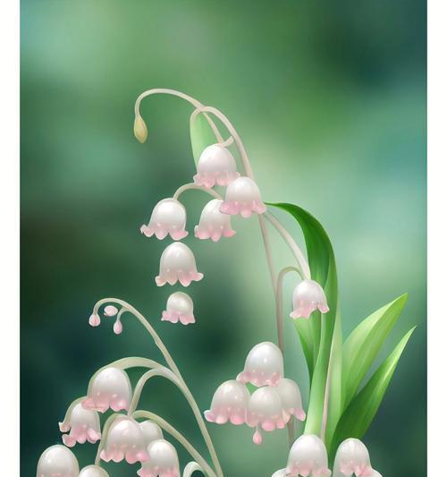 柜子花开的花语是什么？它有什么特别的寓意？