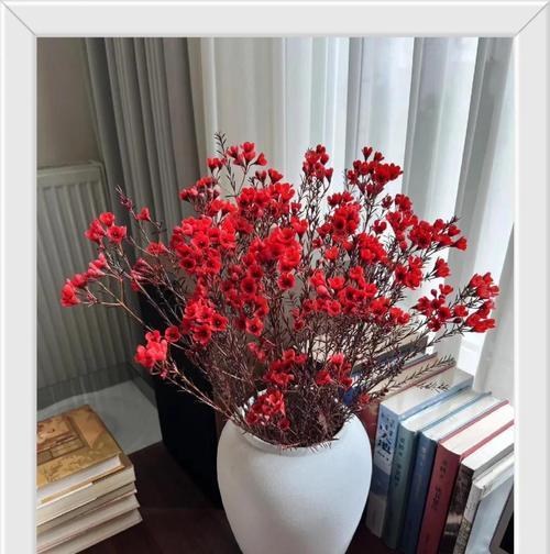 红色腊梅的花语是什么？它有什么特别的寓意？