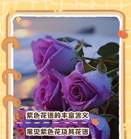 紫色和蓝色搭配的花语是什么？它们有什么特别含义？