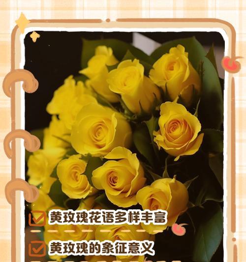 玫瑰代表独立的花语是什么？它有什么特别含义？