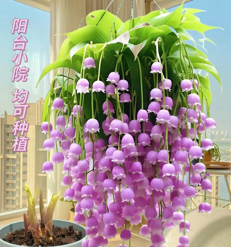 初恋花语是什么？如何用花语表达初恋情愫？