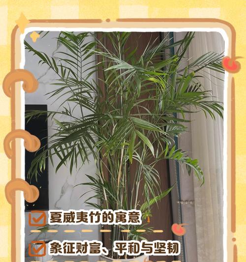 竹子的花语是什么？竹子在文化中代表什么意义？