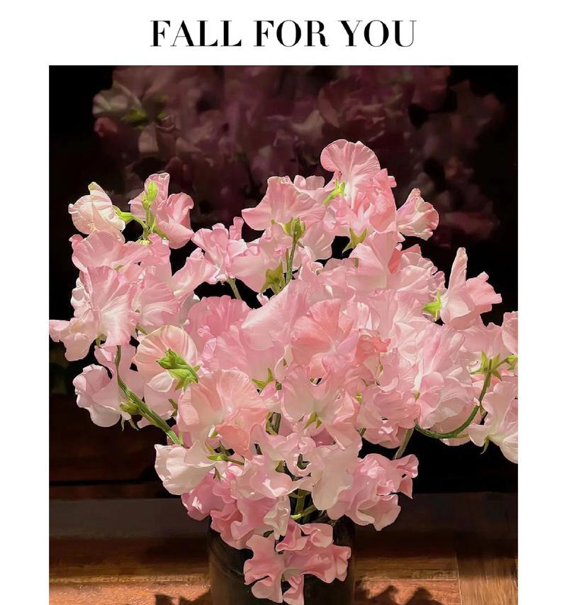 错误的花语是什么？如何避免送错花的尴尬？