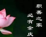 黑色龙葵花语代表什么？