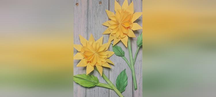 眼睛花语的含义是什么？