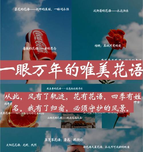 眼睛花语的含义是什么？
