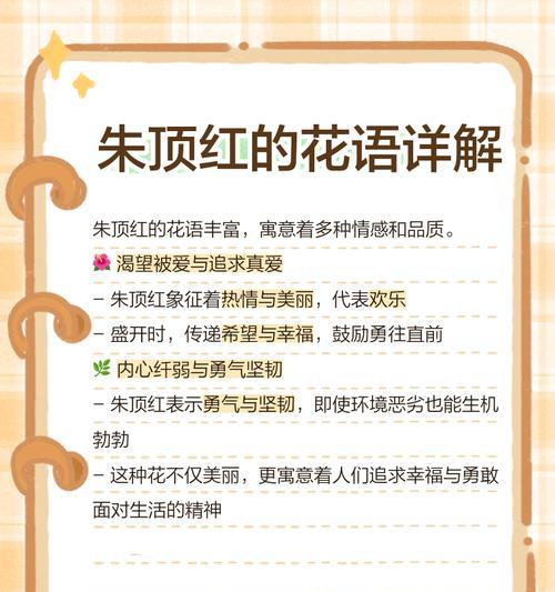 朱顶红红狮的花语代表什么？