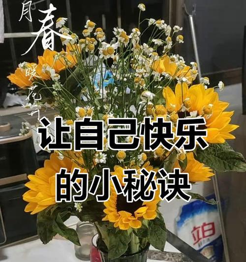哪些花语可以安慰情绪？