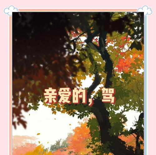 情人泪花语典故是什么？情人泪花语有哪些含义？