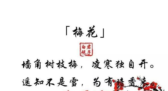 梅花的花语大全有哪些？梅花有哪些不同的花语？