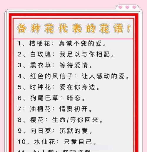 有关淡泊的花语有哪些？淡泊花语代表什么意义？
