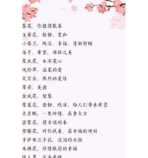 有关淡泊的花语有哪些？淡泊花语代表什么意义？