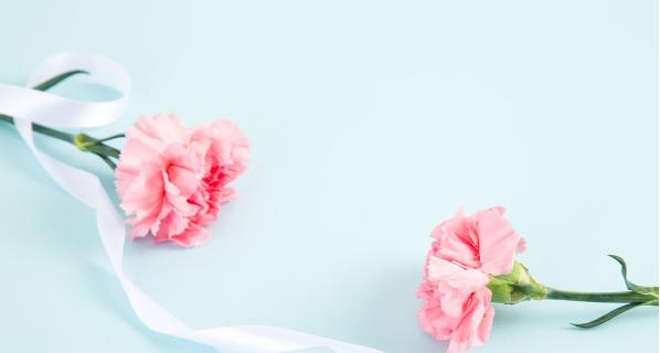 悼念死人的花语有哪些？花语在悼念中扮演什么角色？