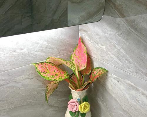 如意花语和寓意是什么？如意花在花语中代表什么？