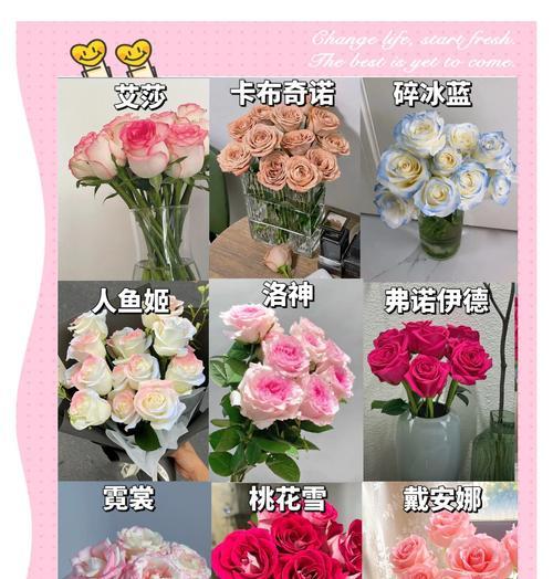 不同颜色玫瑰的花语分别是什么？如何选择玫瑰表达心意？