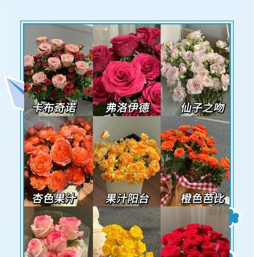 不同颜色玫瑰的花语分别是什么？如何选择玫瑰表达心意？