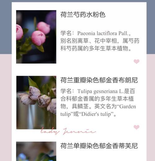 哪种花寓意背叛？背叛花语有哪些警示？