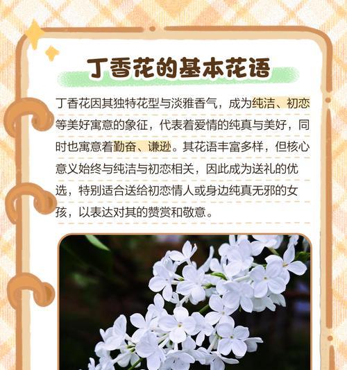 初恋的花语含义是什么？初恋花语有哪些特别之处？