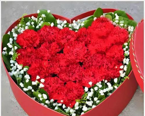 红色花信子的花语是什么？红色花信子如何表达情感？
