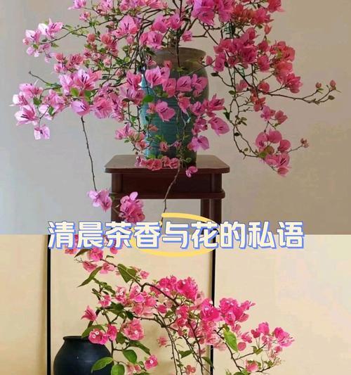 兰花有哪些不好的花语？如何避免？