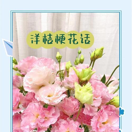 悼念爱人的花语有哪些？如何选择？