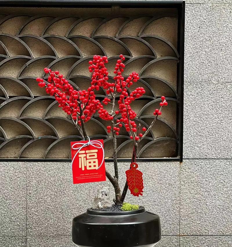 冬青的寓意及花语是什么？如何进行养护？