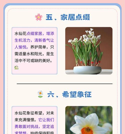 水鬼樵花语是什么意思？水鬼樵花语好吗？