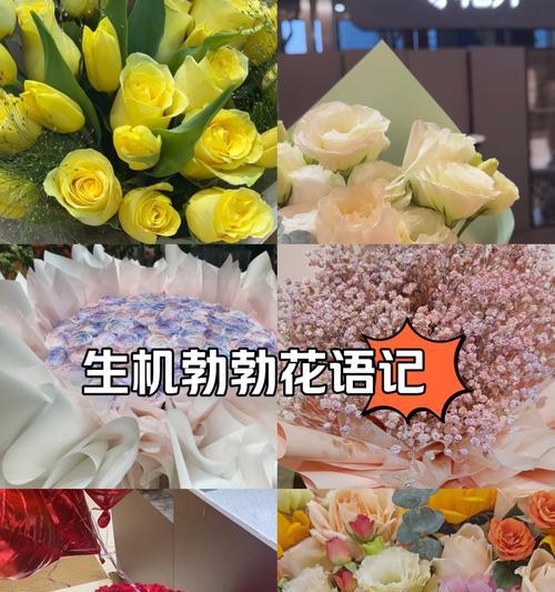 花种类有哪些？各自的花语是什么？