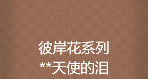 哪些花语代表天使？天使的花语有哪些？