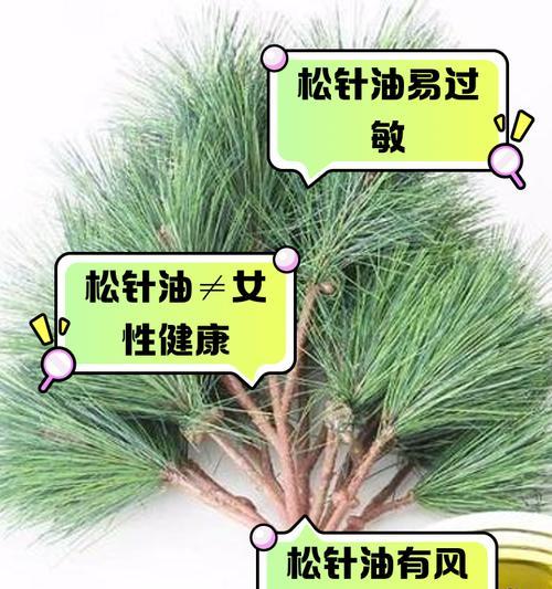 木棉加松针的花语是什么？木棉加松针象征着什么？