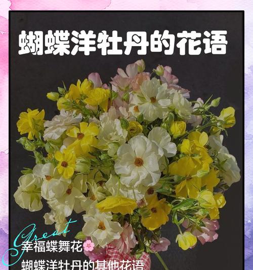 蝴蝶的花语是什么？蝴蝶象征着什么？