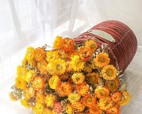 雏菊花束代表什么？如何挑选寓意深刻的雏菊花语？