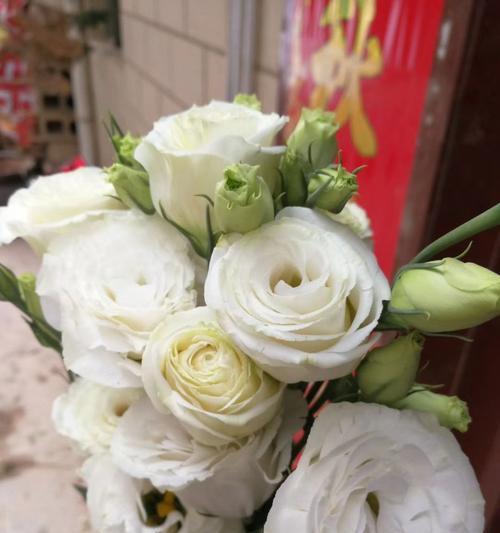 白色荔枝花的花语是什么？如何用它来传达爱意？