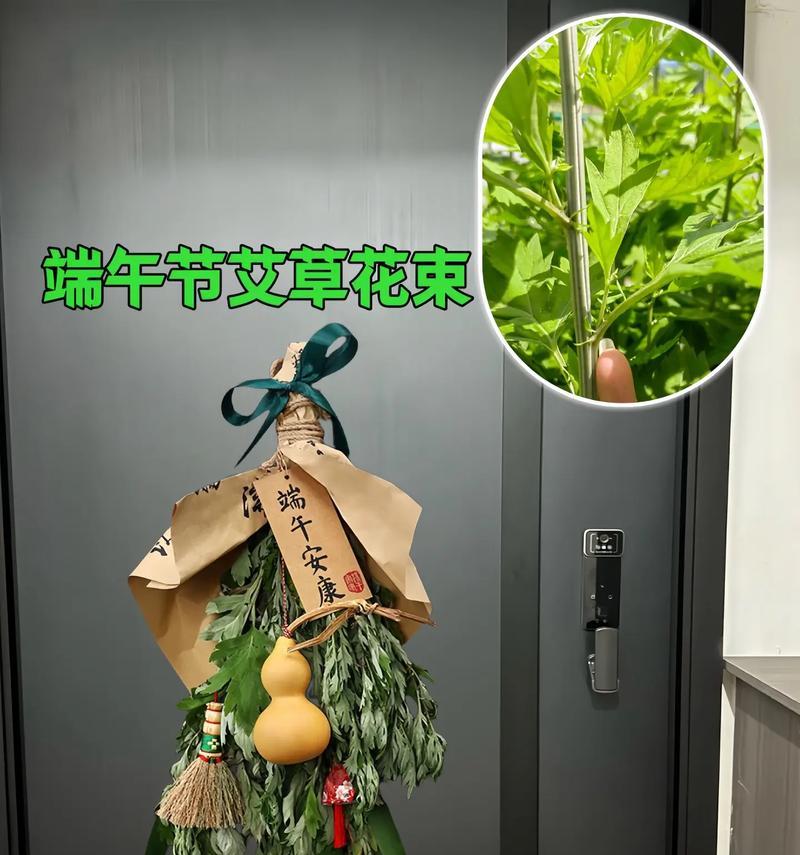 艾草的花语和寓意是什么？如何在节日中使用艾草？