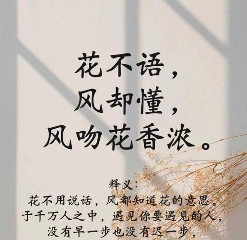 哪些花语代表尊重？如何选择合适的花来表达敬意？