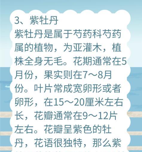 玫瑰牡丹的花语是什么？玫瑰牡丹象征什么？