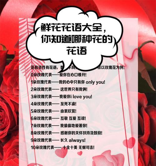 花朵多数的花语是什么？哪种花象征多数？