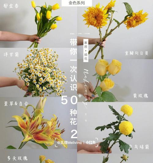 花朵多数的花语是什么？哪种花象征多数？