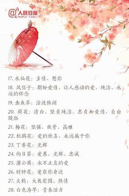 黑心金刚菊花语是什么？黑心金刚菊象征什么？